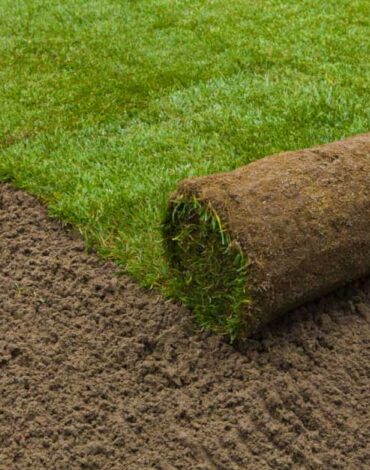 Sod-services