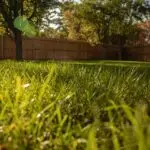 Fall Lawn Care Checklist for Shenandoah Valley Homeowners